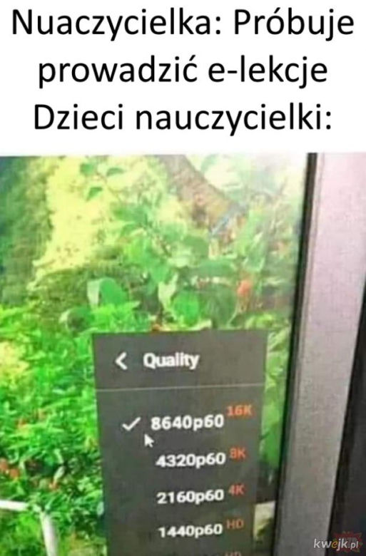 nauka zdalna - memy
