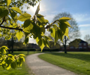 Pogoda na weekend w Szczecinie 10-12 kwietnia. Czeka nas suchy weekend z dużą dawką słońca w sobotę