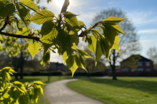Pogoda na weekend w Szczecinie 10-12 kwietnia. Czeka nas suchy weekend z dużą dawką słońca w sobotę