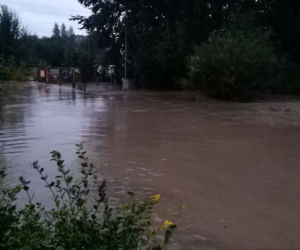 Zalany Morów