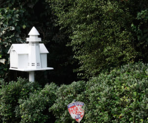 Rob Reiner i jego żona nie żyją. Ich syn aresztowany pod zarzutem zabójstwa.