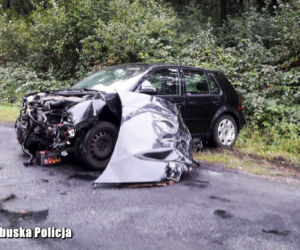 Autobus pełen dzieci wyleciał z szosy
