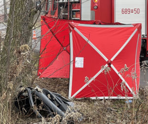 Tragedia pod Wołominem. Wypadła z drogi, rozbiła się na drzewie. 19-latka nie żyje
