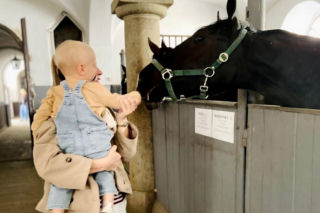 Stasio ma nowy dom. Rodzice pokochali go za zdjęcie z samochodzikiem