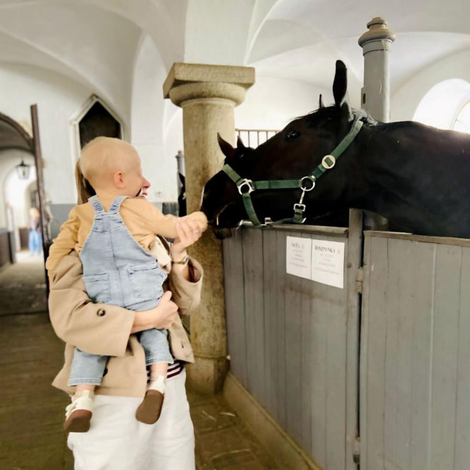Stasio ma nowy dom. Rodzice pokochali go za zdjęcie z samochodzikiem