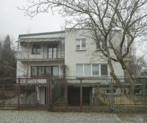 Koty Jarka nas terroryzują