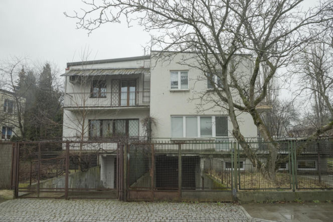 Koty Jarka nas terroryzują