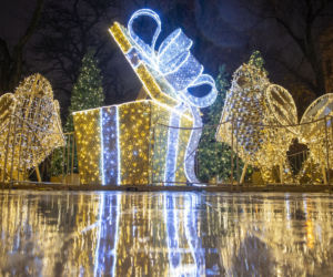 Świąteczne iluminacje robią w Łodzi klimat, Piotrkowska