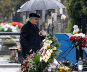 Przywiózł choinkę na grób