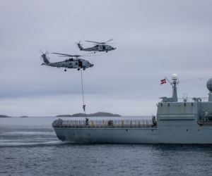 Duńskie siły morskie