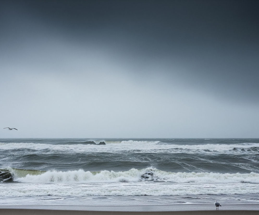 Sztormowe morze z szarą, pochmurną pogodą wypełnia większą część kadru. Burzliwe fale, ciemnoniebieskie i turkusowe, z białymi grzywami, rozbijają się o piaszczysty brzeg widoczny na dole zdjęcia. Trzy mewy, dwie stojące na piasku i jedna lecąca w lewej górnej części, są widoczne na tle wzburzonych fal.