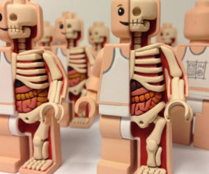 anatomia zabawek wg. jasona freeneya