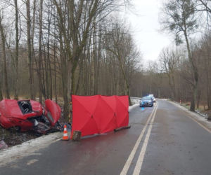 Śmiertelny wypadek pod Elblągiem. Zginęli pasażerowie w wieku 17 i 22 lat [ZDJĘCIA]