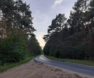 Koło Torunia powstanie ścieżka rowerowa za ponad 8 milionów złotych!