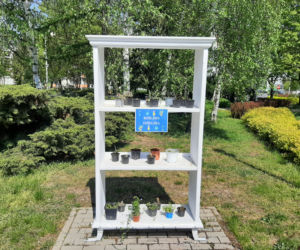 Roslinodzielnia w Swarzędzu