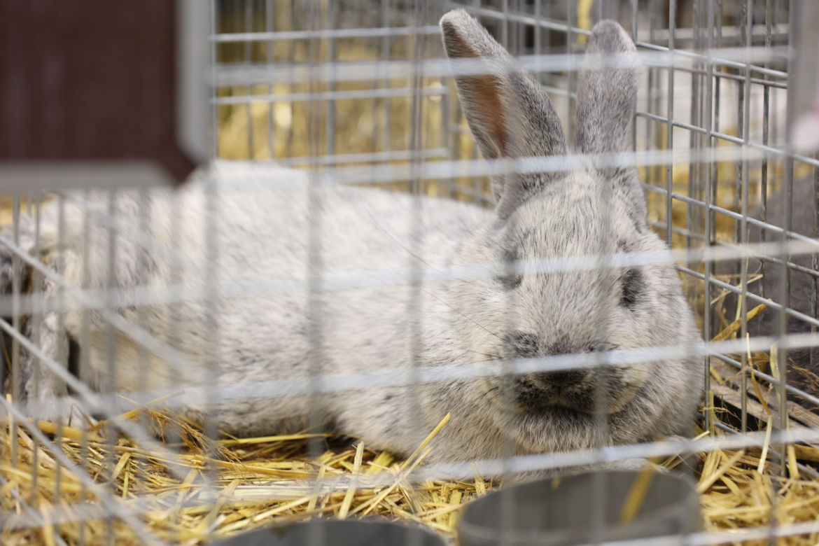 ZooPark 2023 w Lublinie przyciągnął tłumy!
