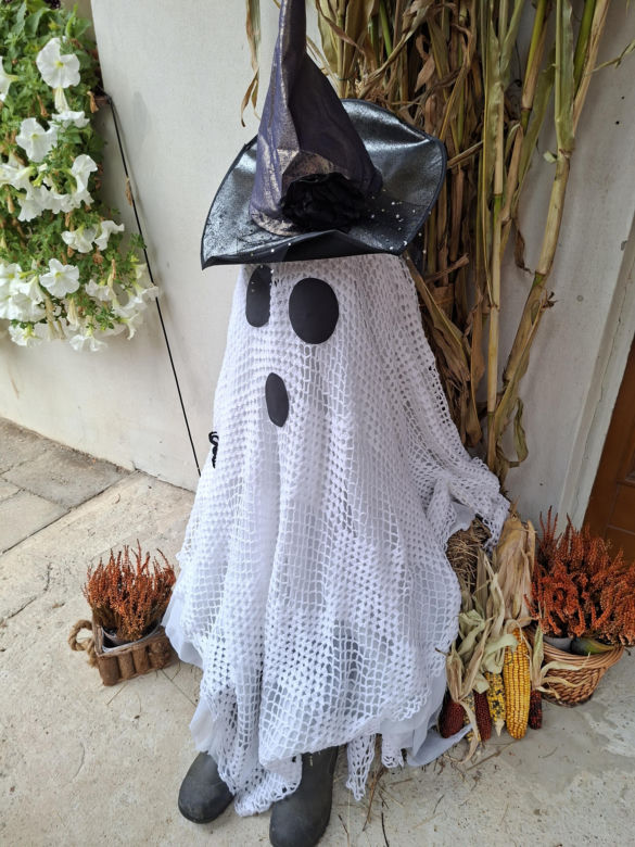 Oto najbardziej halloweenowy dom w Świętokrzyskiem!