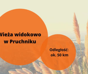 Majówka 2022: Gdzie na szybka wycieczkę z Rzeszowa? Ciekawe atrakcje 