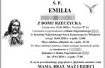 Tragiczna śmierć Emilii K. pod Włodawą. Wciąż więcej pytań niż odpowiedzi