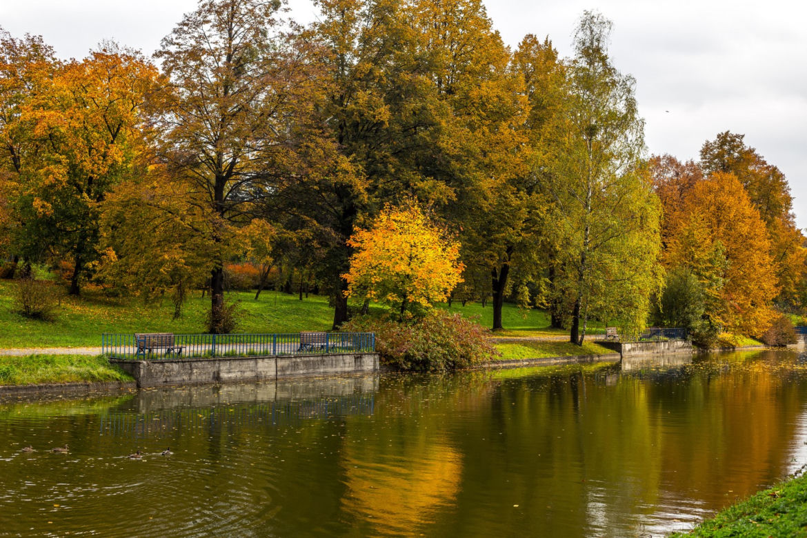 Park Śląski jesienią jest naprawdę piękny
