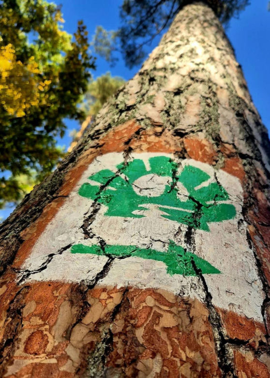 Szlak Świętej Warmii nabiera kształtów. Ponad 400 kilometrów trasy przez Warmię jest znakowanych