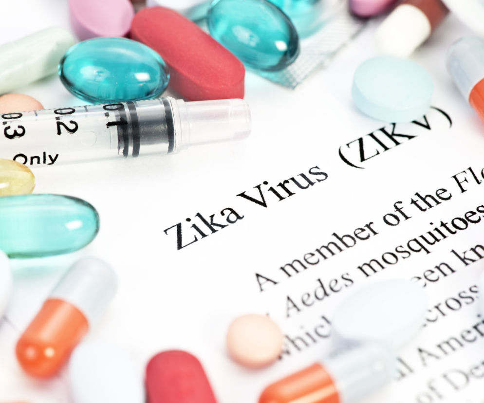 wirus Zika, Zika, groźny wirus