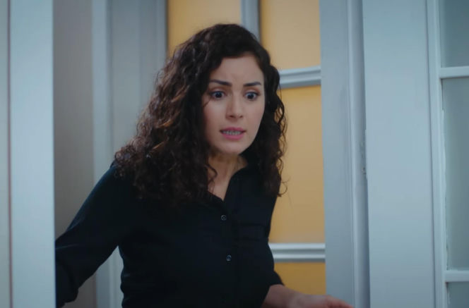 Dziedzictwo odcinek 902