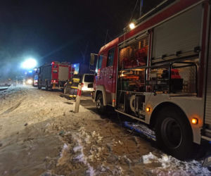 Dukt. 35 świń zginęło w męczarniach! Przygniotły się nawzajem po wypadku MAN-a [ZDJĘCIA]