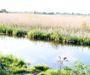 Tragedia nad wodą. Nie żyje wędkarz