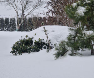 Atak zimy na wybrzeżu. Burze śnieżne, zasypane drogi i alerty IMGW