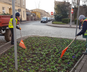 Za nieco ponad miesiąc wiosna! Na skwerach w Lesznie zaczęły się już pozimowe porządki
