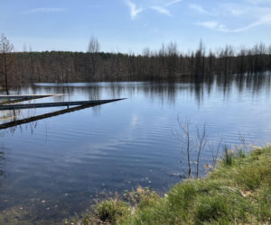 Zalana obwodnica Bolesławia