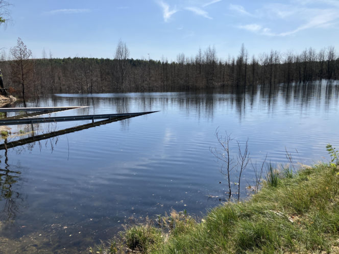 Zalana obwodnica Bolesławia