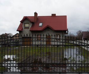 To ona zaplanowała zabójstwo Mirona