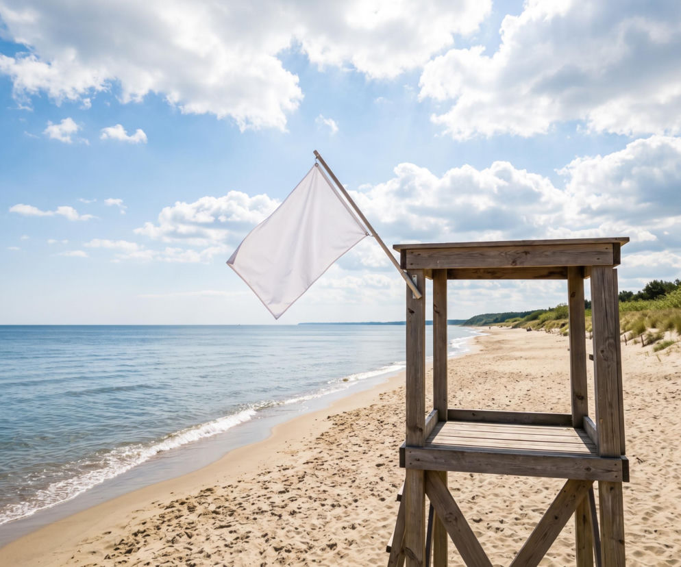 Sinice Gdynia. Czy w Gdyni można się kąpać 06.08? Flaga, warunki pogodowe