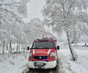 Atak zimy na Podkarpaciu. Setki interwencji strażaków w regionie