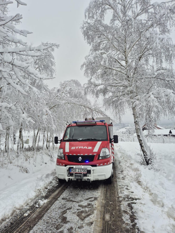 Atak zimy na Podkarpaciu. Setki interwencji strażaków w regionie