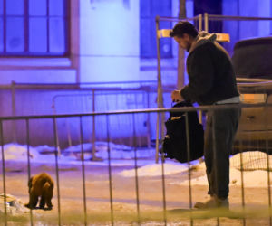 Sebastian Fabijański z pieskiem na spacerze