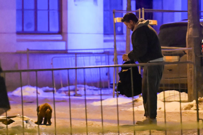 Sebastian Fabijański z pieskiem na spacerze