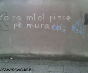 Napisy na łódzkich murach: Sztuka czy wandalizm? Ulica wie swoje...