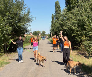 ESKA Summer City odwiedziła schronisko w Świdnicy. Pomoc dla zwierząt i kolejne przystanki na trasie