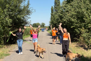 ESKA Summer City odwiedziła schronisko w Świdnicy. Pomoc dla zwierząt i kolejne przystanki na trasie