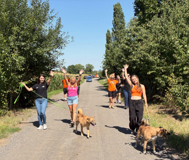 ESKA Summer City odwiedziła schronisko w Świdnicy. Pomoc dla zwierząt i kolejne przystanki na trasie