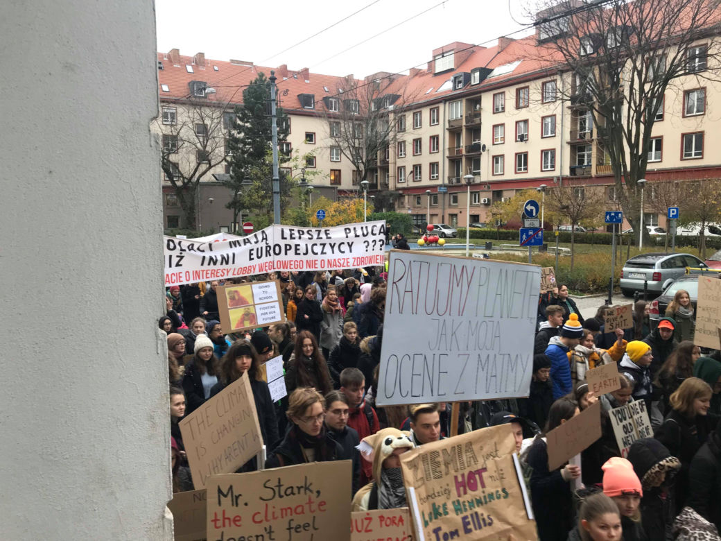 Manifestacja w obronie klimatu