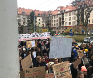 Manifestacja w obronie klimatu