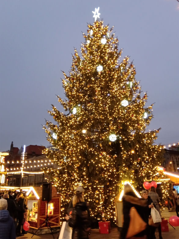 Choinka na katowickim Rynku jest już pięknie oświetlona! 