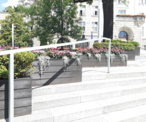 Olsztyn. Staromiejskie donice wypełniły się kolorowymi kwiatami [ZDJĘCIA]