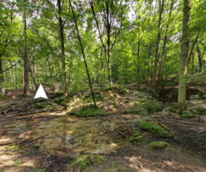 To najbardziej niedoceniona wieś w województwie śląskim. Jest tam szlak cudownych źródeł