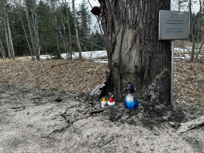 Zepchnął Grzegorza z drogi. Prokuratura: to nie był wypadek