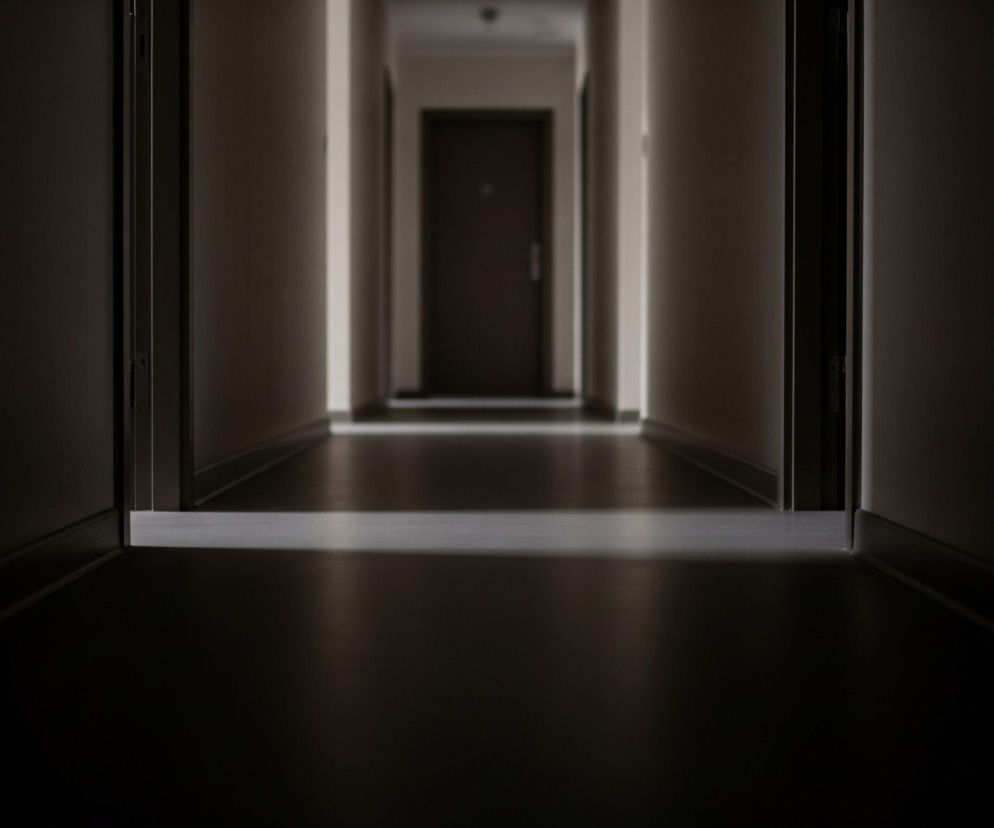 Długi, ciemny korytarz rozciąga się w głąb obrazu, zlewając się w jasną plamę światła w oddali. Po obu stronach korytarza widoczne są ściany w odcieniach szarości i brązu, z kilkoma drzwiami o ciemnobrązowym kolorze w perspektywie. Podłoga w korytarzu jest ciemna i lśniąca, odbijając światło tworzące prostokątną smugę na pierwszym planie, tuż za otworem, z którego patrzymy. Całość obrazu jest skąpana w mroku, z silnym kontrastem między ciemnym pierwszym planem a rozjaśnionym końcem korytarza.